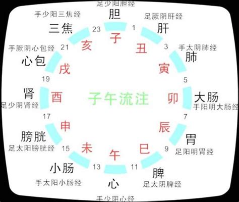 水字旁的字名字 十二時辰經絡表